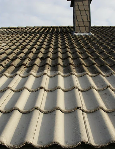 roof cleaning summerville sc